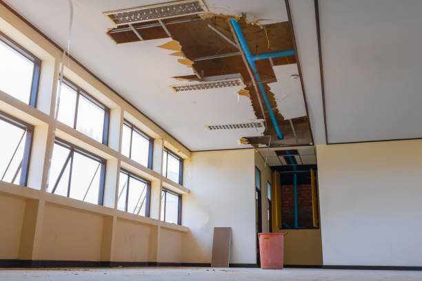 Best Ceiling water damage repair  in Almont, MI