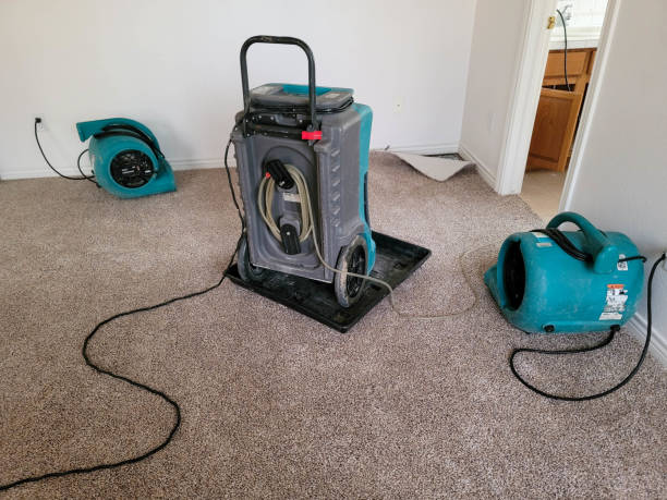  Almont, MI Water damage restoration Pros