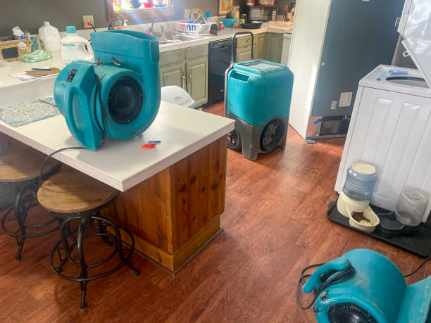 Best Water damage restoration experts  in Almont, MI