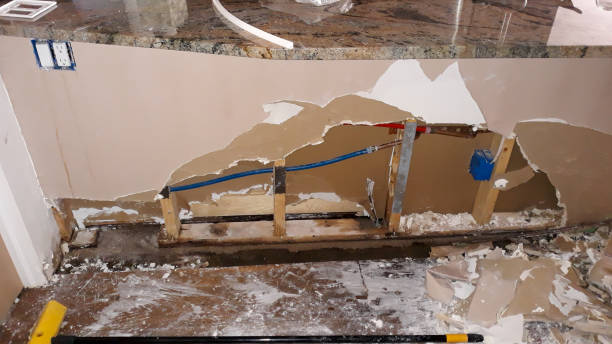 Best Flood restoration services  in Almont, MI