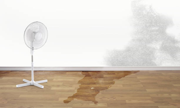Best Residential water damage restoration  in Almont, MI