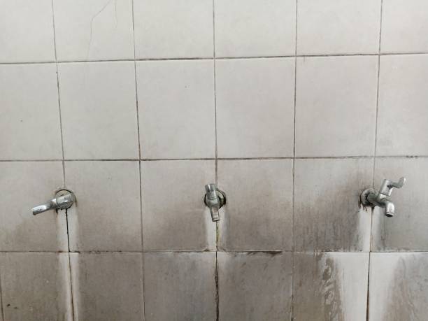 Best Water damage restoration near me  in Almont, MI