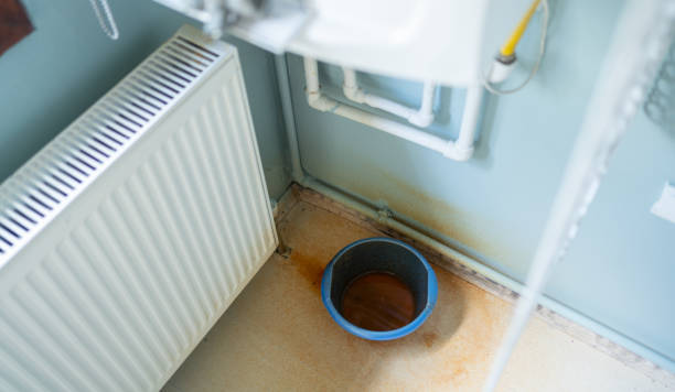 Best Flood damage cleanup  in Almont, MI